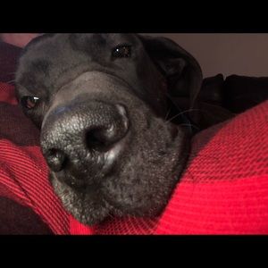 Meet your Posher, Ronni